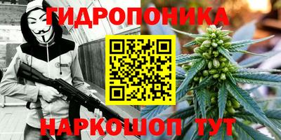 PSILOCYBIN Изобильный