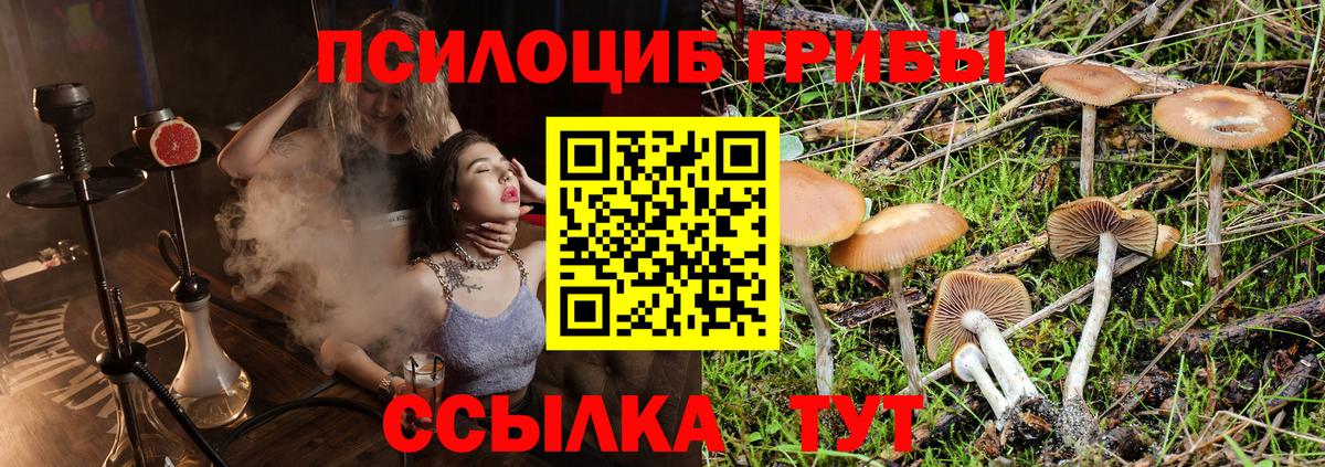Псилоцибиновые грибы GOLDEN TEACHER  купить закладку  Лянтор  Вход с VPN 